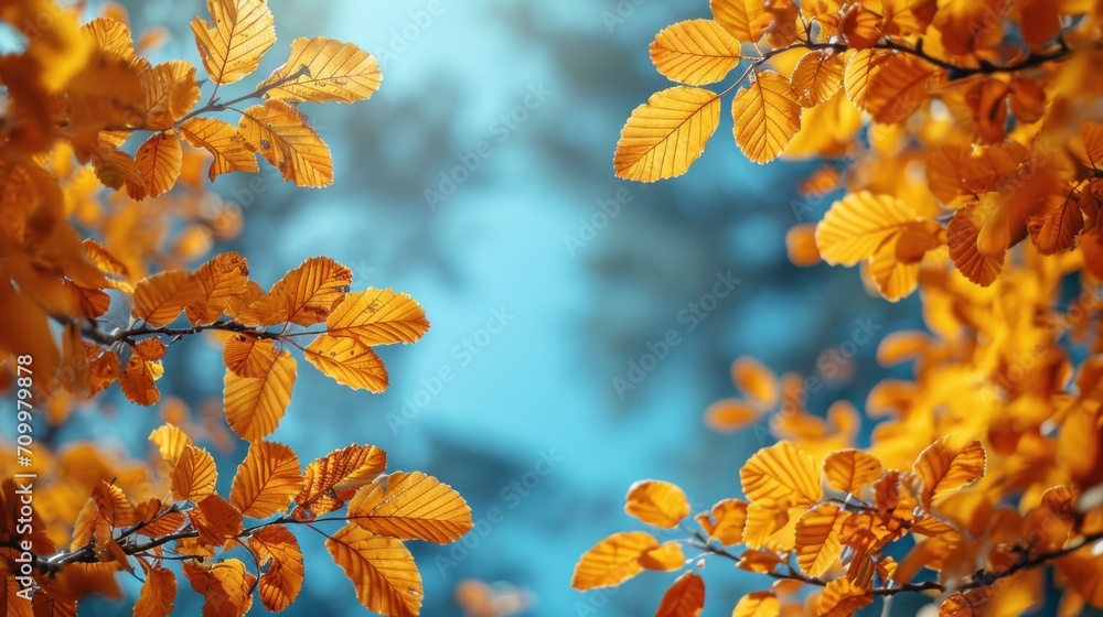 Poster a tree branch with yellow leaves in the foreground and a blue sky in the background with a blurry im
