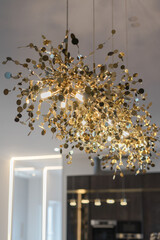 gold modern chandelier in living room
