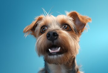 a dog is spotted on the blue background