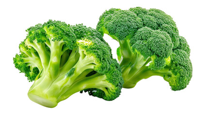 Broccoli on a transparent background