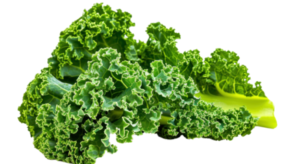green wavy leaf kale on a transparent background