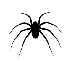 Spider silhouette icon for halloween. Vector illustration.