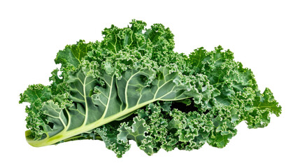green wavy leaf kale on a transparent background