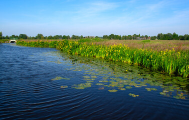 Landscape green meadow and canal with clear water