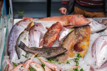 fish on ice 