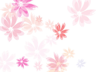 Fototapeta premium Falling cherry blooming flower parts vector..