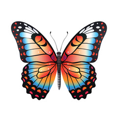 Obraz premium Butterfly elegance a creature of grace and beauty