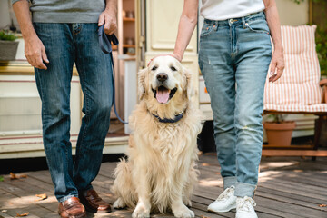 Cropped image of senior old couple family pet owners with their good boy dog labrador golden...