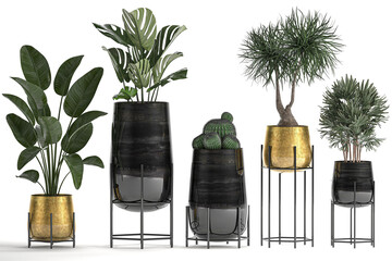 3D digital render of plant in a pot isolated on white background