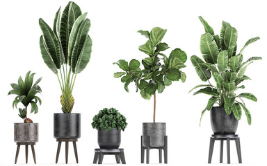 3D digital render of plant in a pot isolated on white background