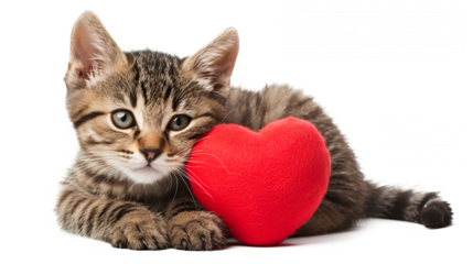 Heartwarming feline love A kitten cuddling a heart a scene of pure isolated on a white background,