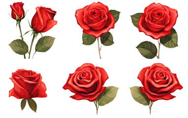 Set of red roses isolated on transparent background.