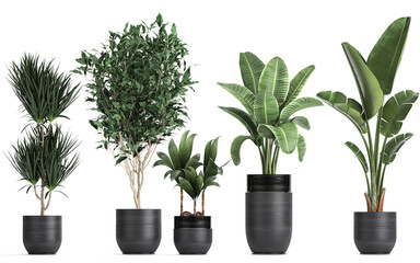 3D digital render of plant in a pot isolated on white background