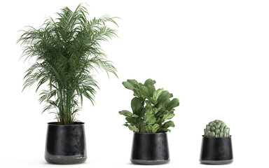 3D digital render of plant in a pot isolated on white background