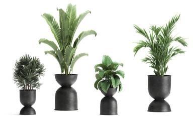 3D digital render of plant in concrete pots isolated on white background