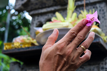 Balinese Hindu man offering canang and banten. Closeup on the hand
