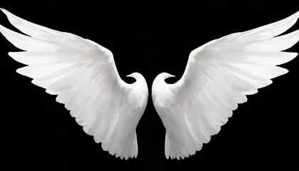 Foto op Canvas white angel wings on background png © Katherine