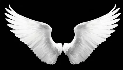 Foto op Canvas white angel wings on background png © Katherine