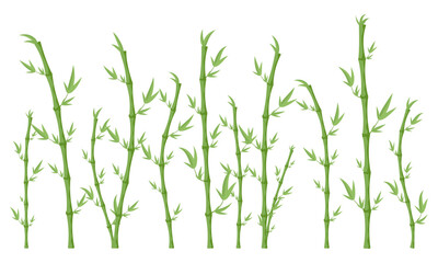 Fototapeta na wymiar Green bamboo branches and leaves. Bamboo stems. Vector illustration.