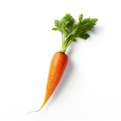 carrot with leafs, beautiful, healthy carrot