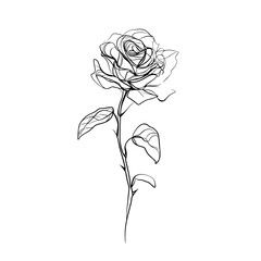 Trendy line art drawing of a romantic rose flower for logos and invitations