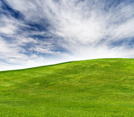 Summer landscape with meadow and scenic sky