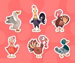 Naklejka premium Farm Bird and Domestic Poultry with Wing and Feather Vector Set
