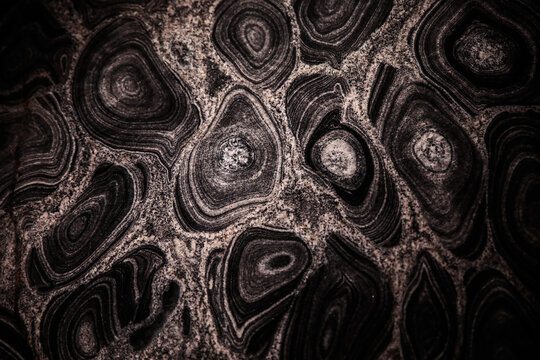 black and white stone