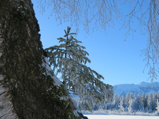 Winterliche Landschaft