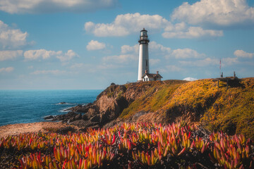 California Coast Lighthouse - 710021814
