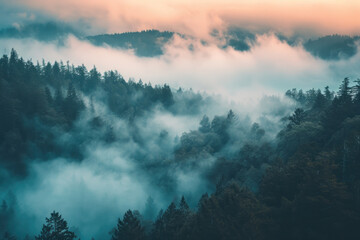 clouds over the mountains, misty forest