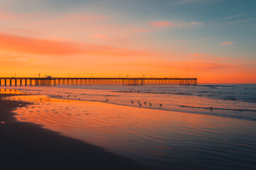 Ocean Beach Pier with Birds Sunset - 710025415