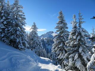 Winterlandschaft am Neunerköpfle Tannheim