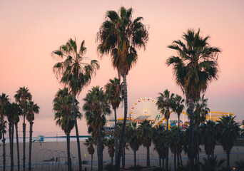 Santa Monica Pier with Palm Trees - 710027293