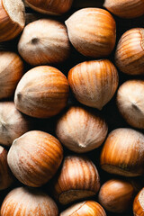 Hazelnut, fresh organic filbert, nuts macro, food background, vertical framing.