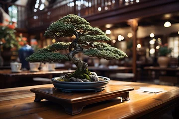 Foto op Canvas Elegant Bonsai on Traditional Table © artem