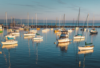 Monterey Harbor Sailboats - 710029877