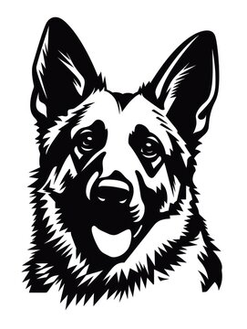 A black and white image of a German Shepherd's head. The dog has a happy expression with a black nose and dark eyes. The ears are large and point upwards.