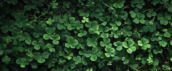 Fotobehang A verdant sea of luck  clovers carpet the earth in lush green, a natural mosaic of fortune's favored emblem © Ai Studio