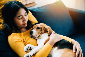 In the living room, a woman and her Beagle dog share a cozy nap on the sofa, embracing a concept of...