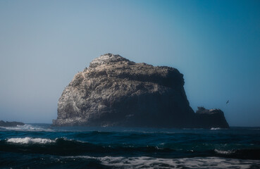 Sea Rocks - 710033449