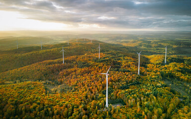 Birds Eye view of wind turbines between the colorful autumn trees at sunset 