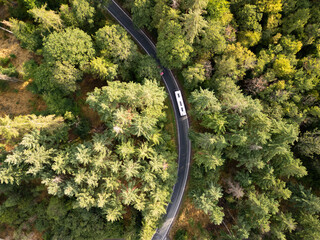 Top down view of a bus driving around the curve on the narrow road between the green forest