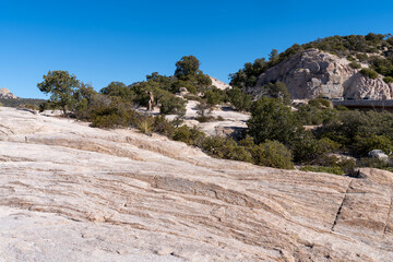 Scenery along the Mt. Lemmon Highway near Summerhaven Arizona, at the Windy Point turnout