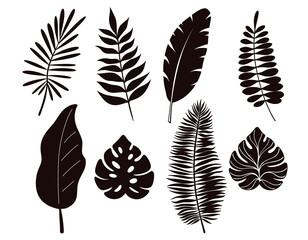 Set of black silhouettes of leaves, Black outline illustrations isolated on transparent background