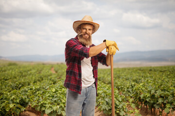 Bearded farmer on a vineyard field
