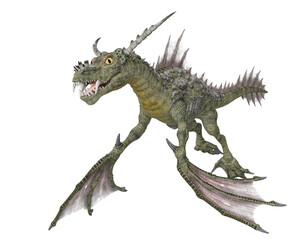 water dragon on white background