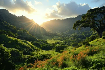 Poster sunrise over green mountains landscape © nnattalli