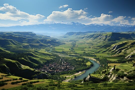 wine country landscape with many vineyards, in the beautiful valley with river