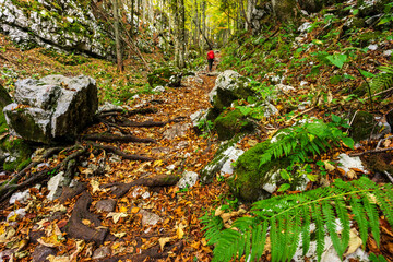 route to Mount Triglav from Lake Bohinj, Triglav National Park, Julian alps. Slovenia, Central...